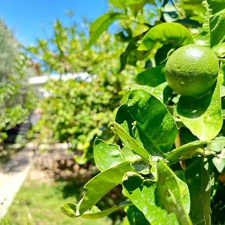 Kaleici Aparts Ferienhaus